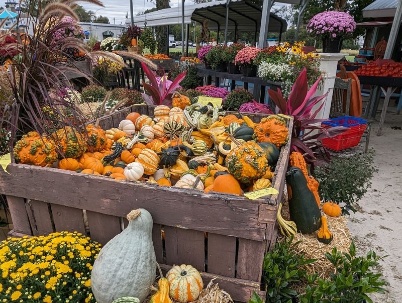 Magee Farms-Lewes, Lewes