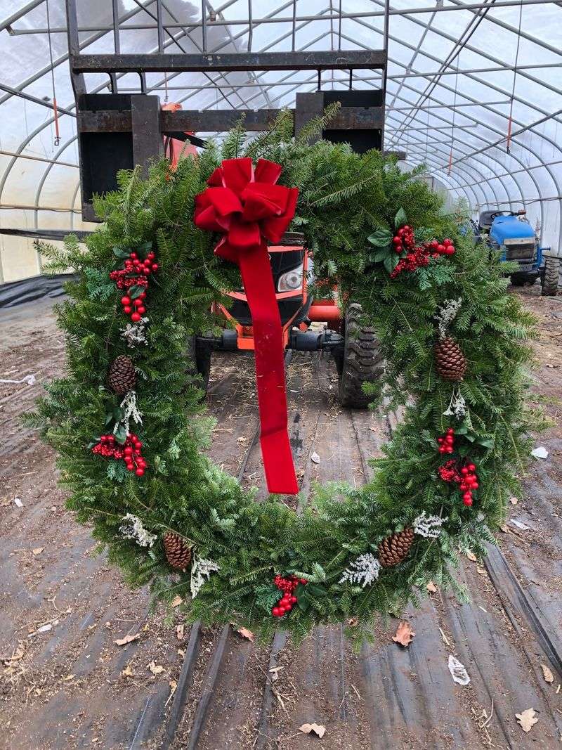 Christmas Trees, Wreaths And Kissing Balls