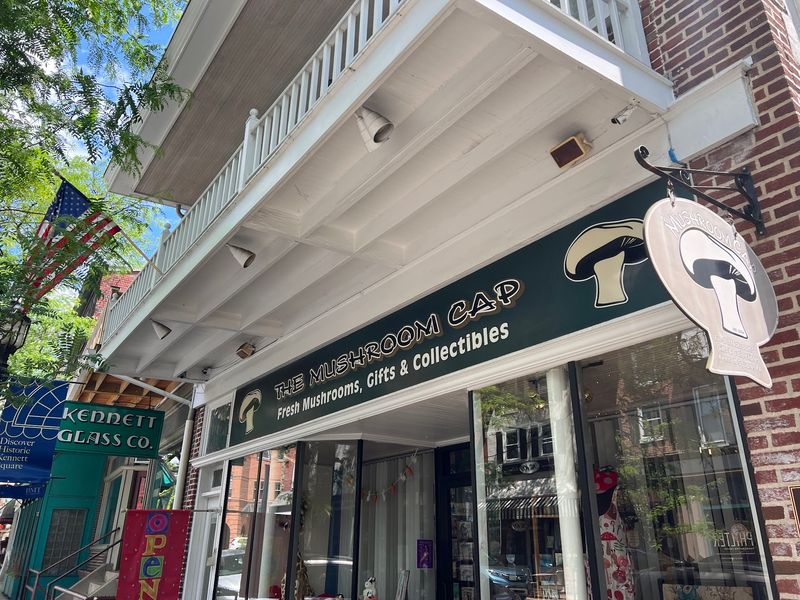 A Whole Store Devoted To Fungi Sits In The Mushroom Capital Of The World