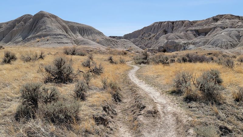 Ancient Bison Bones And A Three-Mile Trail To Reach Them