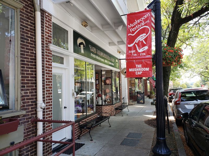 State Street Turns Into A Mushroom Lover's Playground