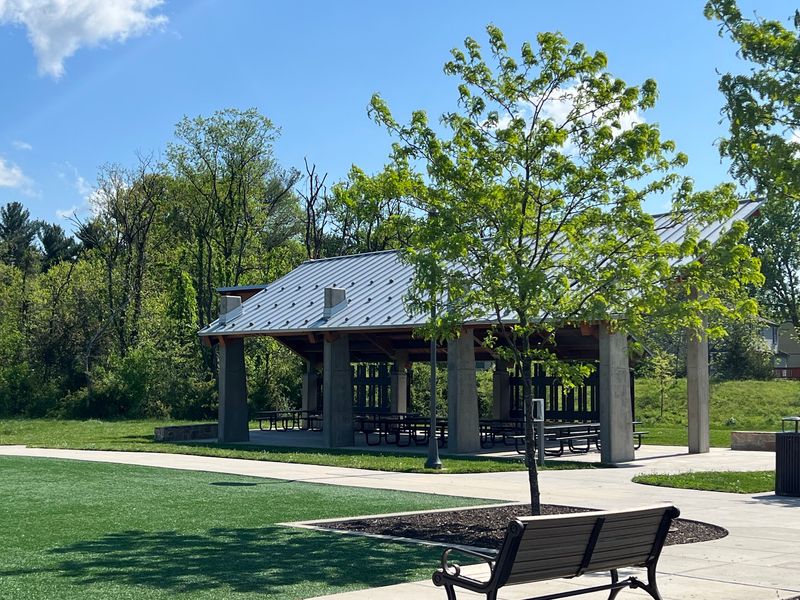 A Park With Deep Roots