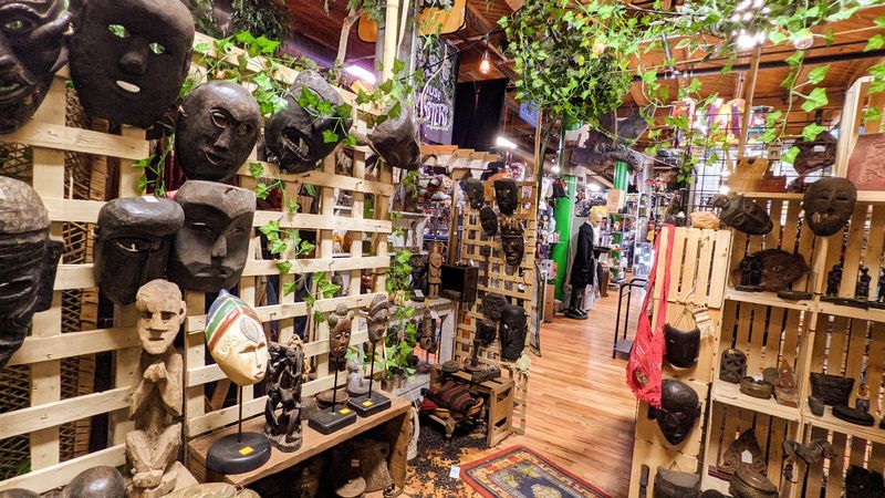 Records, Lamps, And A Jungle You Didn't See Coming