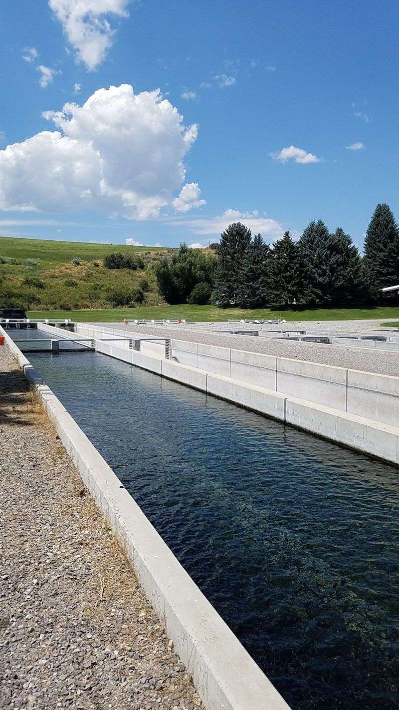 Grace Fish Hatchery