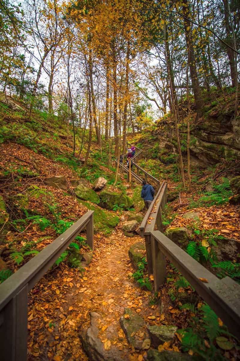 Every October, Thousands Of Hawks Stream Past This Pennsylvania Mountaintop Lookout - Decor Hint Pack Layers, Lunch, And A Trash Bag Before You Go