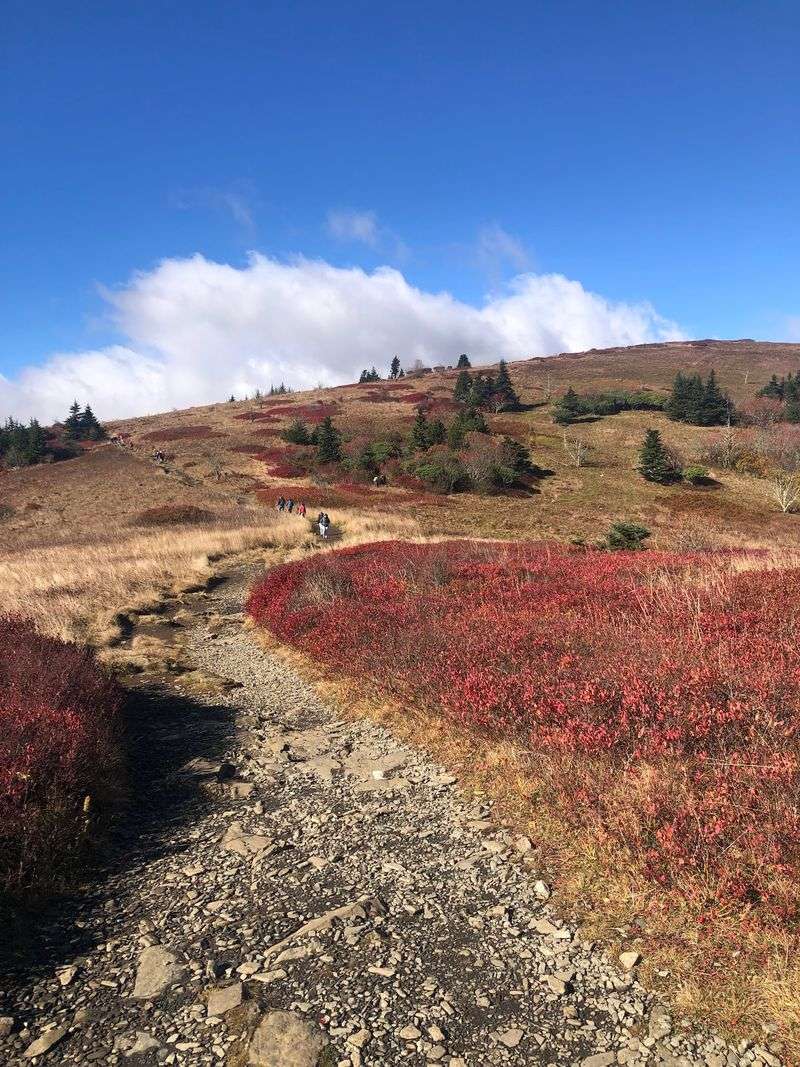 North Carolina Has A Hidden Mountain Town That Locals Try To Keep To Themselves Every Fall - Decor Hint Roan Mountain And The Appalachian Trail Are Close Enough For An Easy Fall Detour