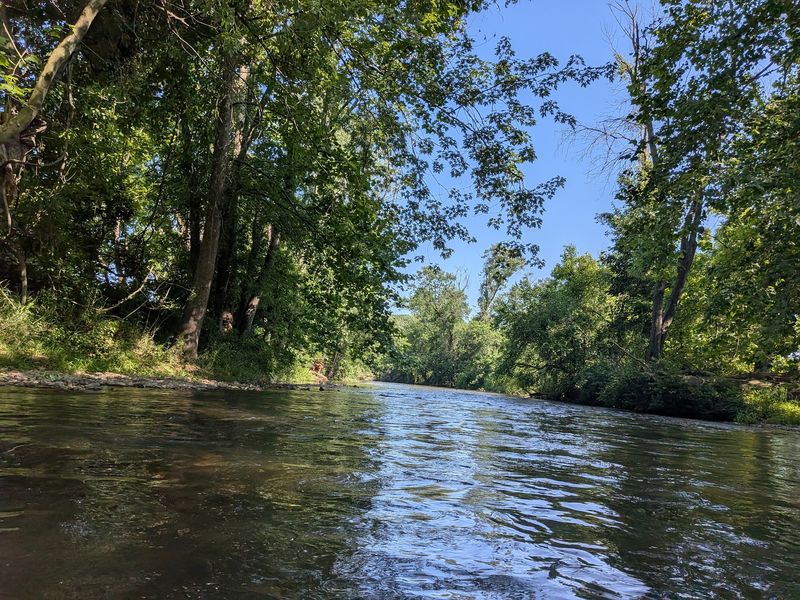 Paddle Time On The West Branch Of Brandywine Creek