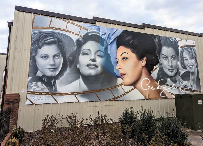 A Hollywood Star Put This Small Town In The Spotlight