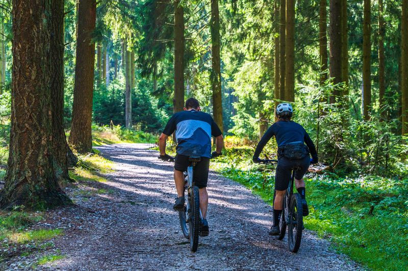 Deep Hardwood Forest Swallows Up Huge Sections Of The Route