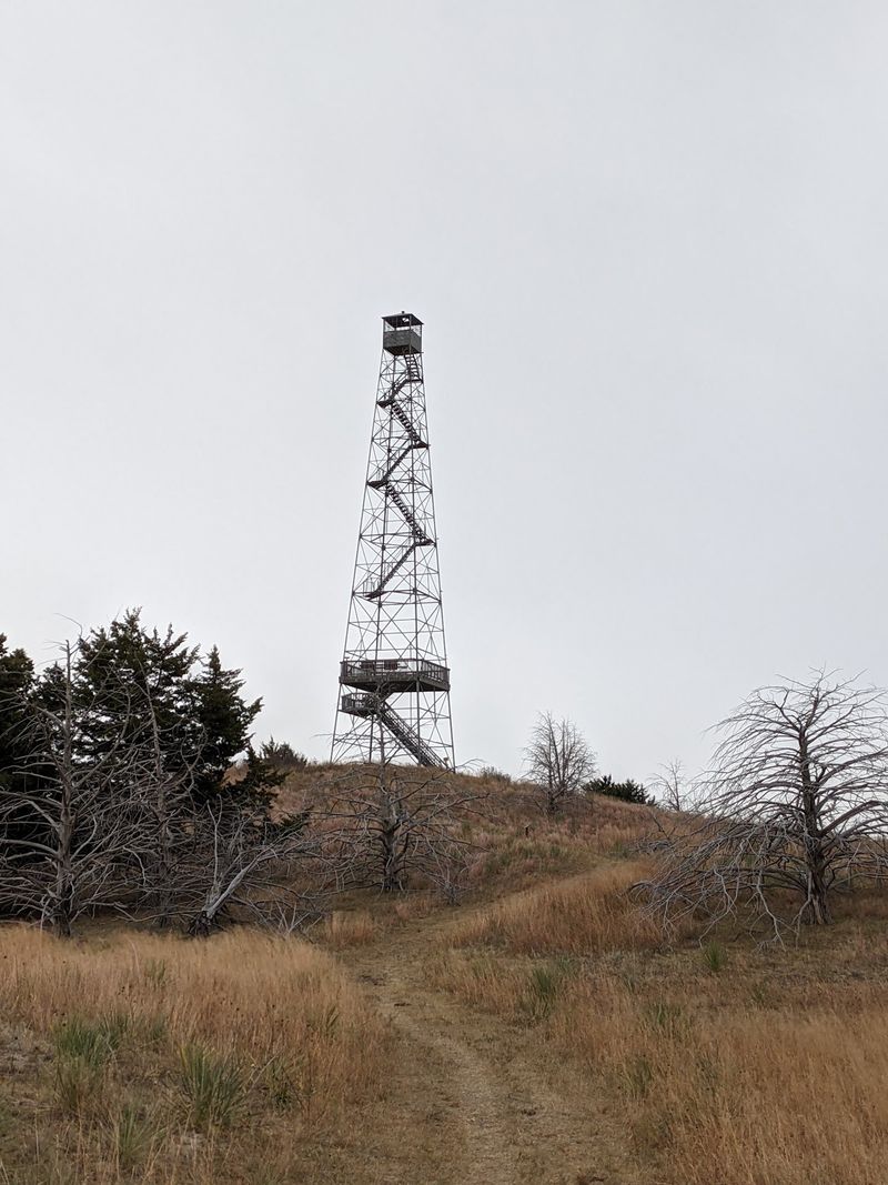Before You Drive Out Know That Nebraska's Sandhills Hold A Lake Where Bison Wade At Dusk - Decor Hint A Mile-Long Walk To A Tower The CCC Left Behind