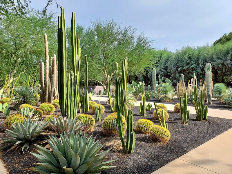 Sunnylands And Its Historic Desert Estate