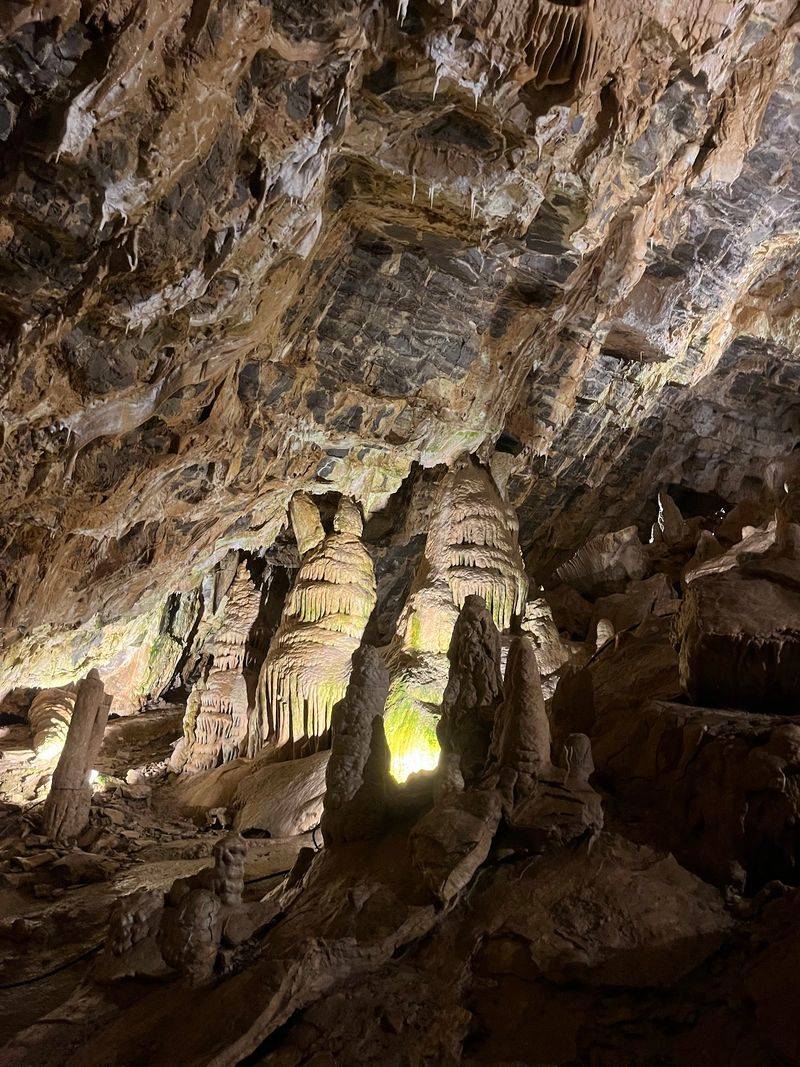 Hundreds Of Bats Pour Out Of Idaho's Minnetonka Cave Region Each Dusk - Decor Hint A Fungus Arrives In Idaho