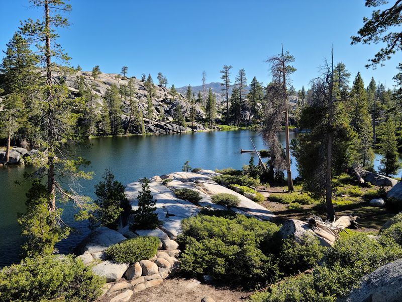 13 California Counties Where Deer Are On The Move During Fall Mating Season - Decor Hint Tuolumne County: Drama In The Stanislaus Forest