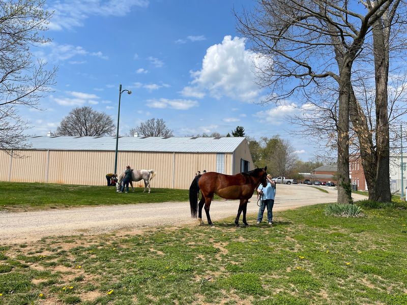 Two Hundred Acres Of Brick, Grass, And Horses
