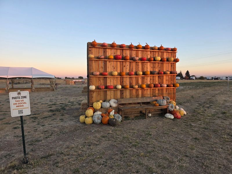 8 Idaho Mazes And Pumpkin Patches Families Wander Before Halloween Arrives - Decor Hint Ten Mile Farms