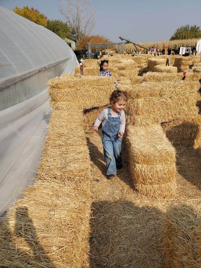 Swore Farms In Pocatello