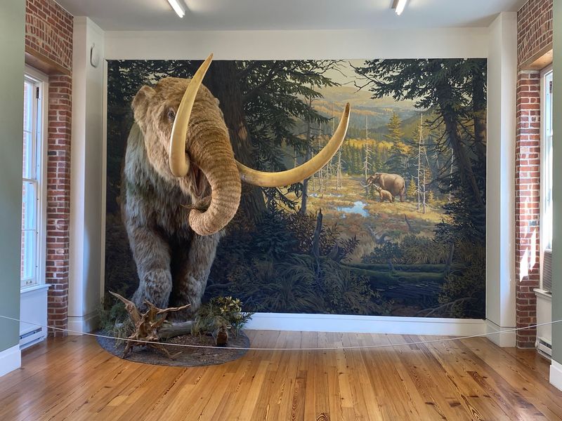 Staten Island Museum, Staten Island
