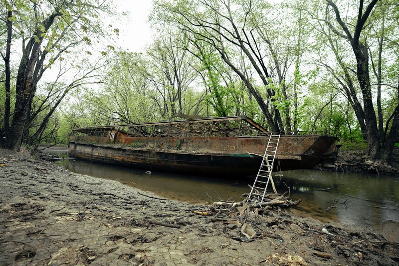 A Thousand-Mile Dream Ended In Taylor Creek