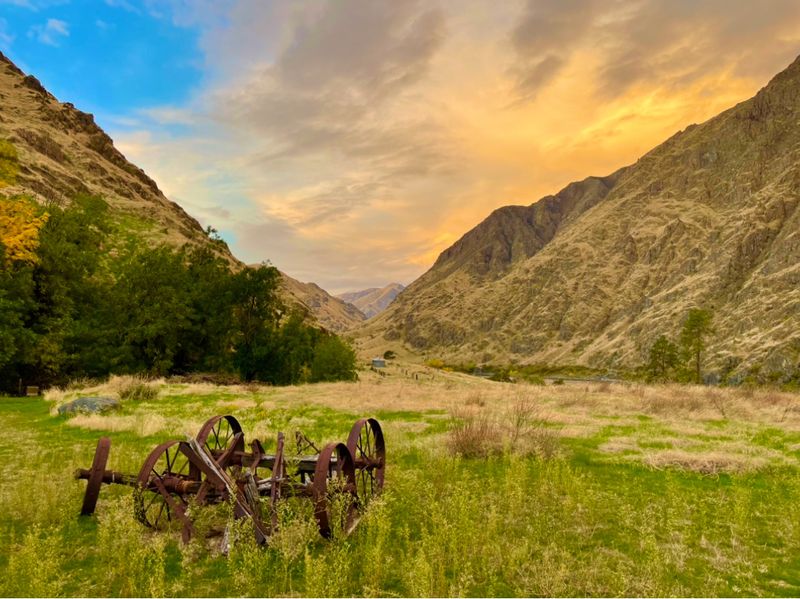 Cattle, Sheep, And A Whole Lot Of Grit