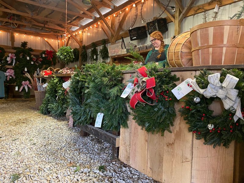 Heffelfinger Tree Farm