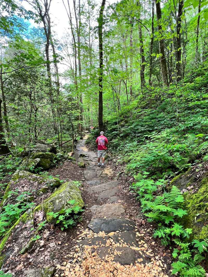 The Short Walk Packs In More Than Its Length Suggests