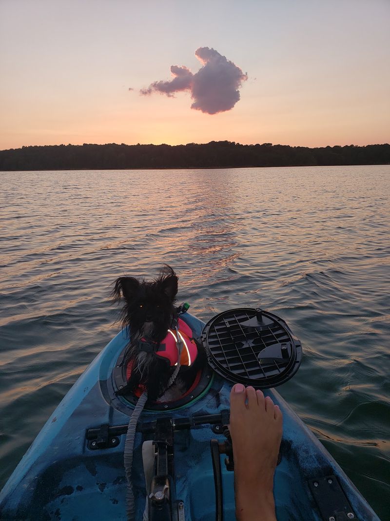 The Biggest Names In Pro Bass Fishing Are Coming To Kentucky’s Lakes For An All-Star Showdown In 2027 - Decor Hint Join A Club And Skip The Boat Payments