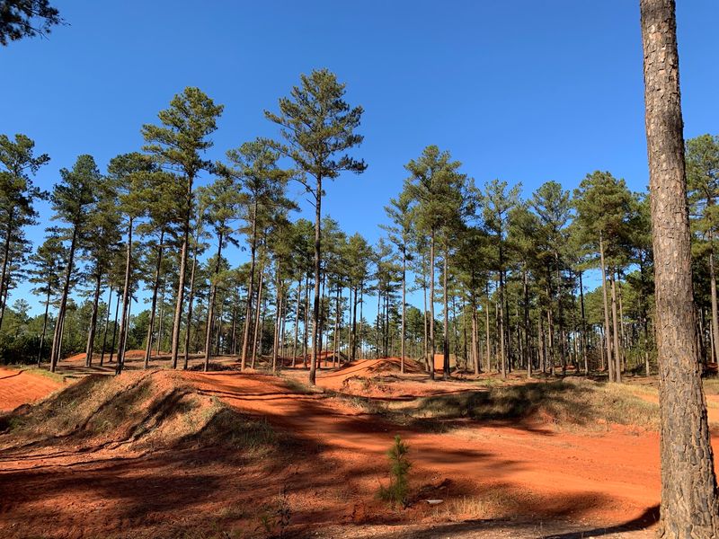 One-Way Trails Keep Everybody Smiling