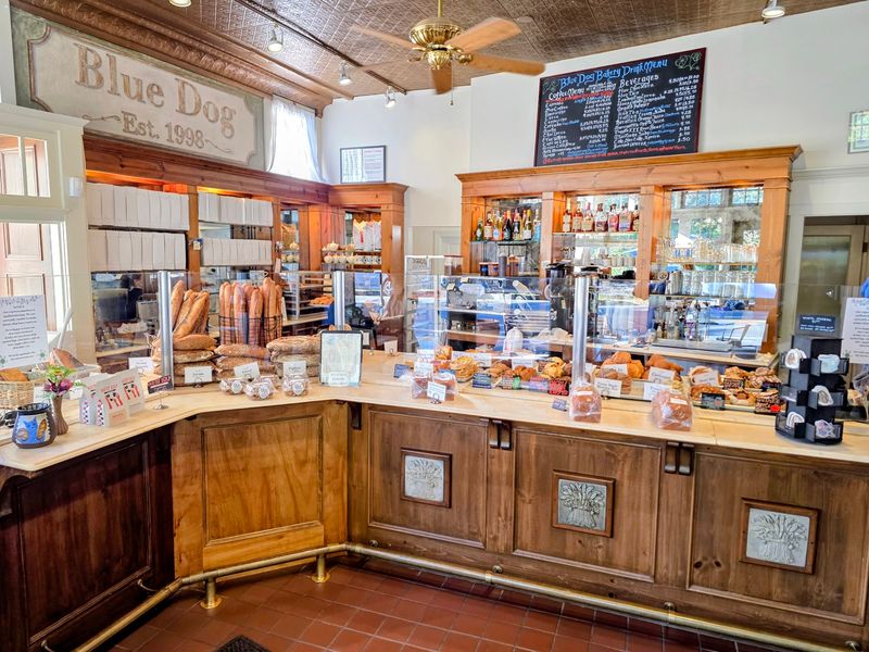 Blue Dog Bakery & Cafe