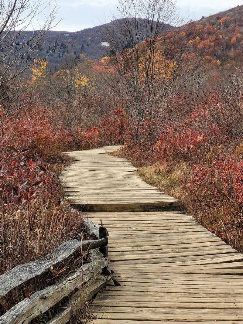 Fall Color Arrives Early In This Mile-High Mountain Valley