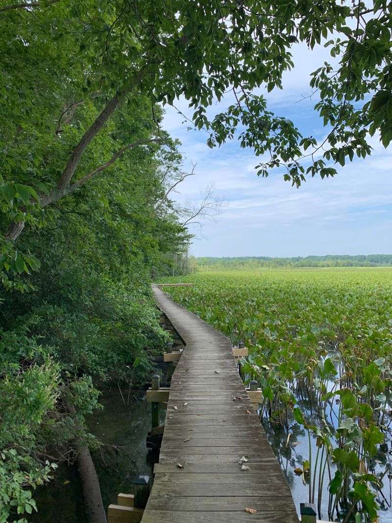 Nothing Beats A Hike Through This Peaceful 1,700-Acre Maryland Sanctuary - Decor Hint Over 1,700 Acres Of Quiet Are Waiting For Your Boots