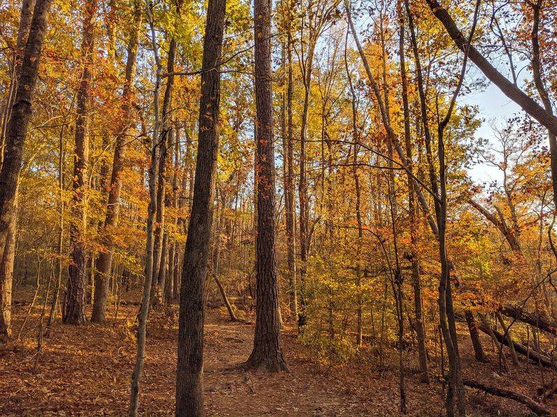 Company Mill Trail, Raleigh