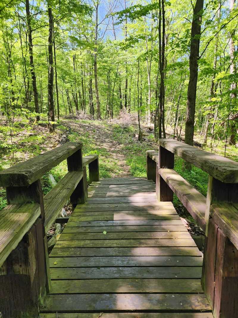 Ten Miles Of Trails Lead Beyond The Campground