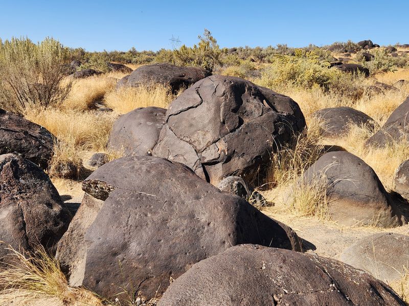 Basalt Cracks Make Perfect Winter Apartments For Rattlers