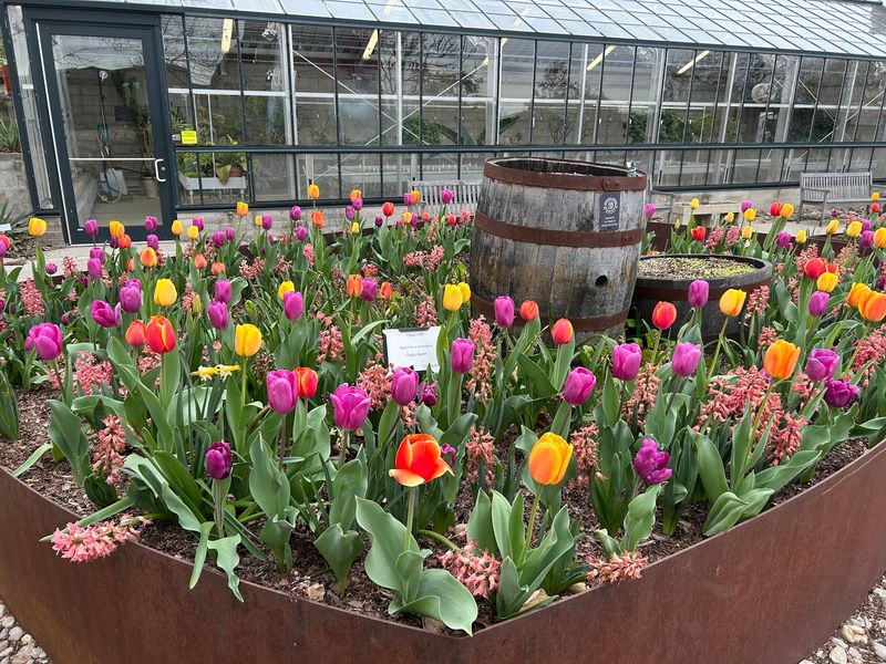 Gardens That Bloom All Year Long