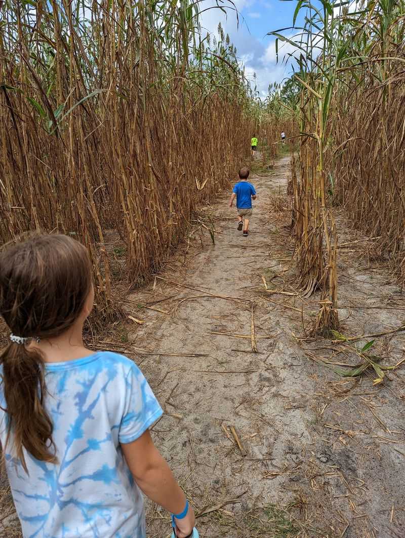 Two Mazes and a Sunset Stroll