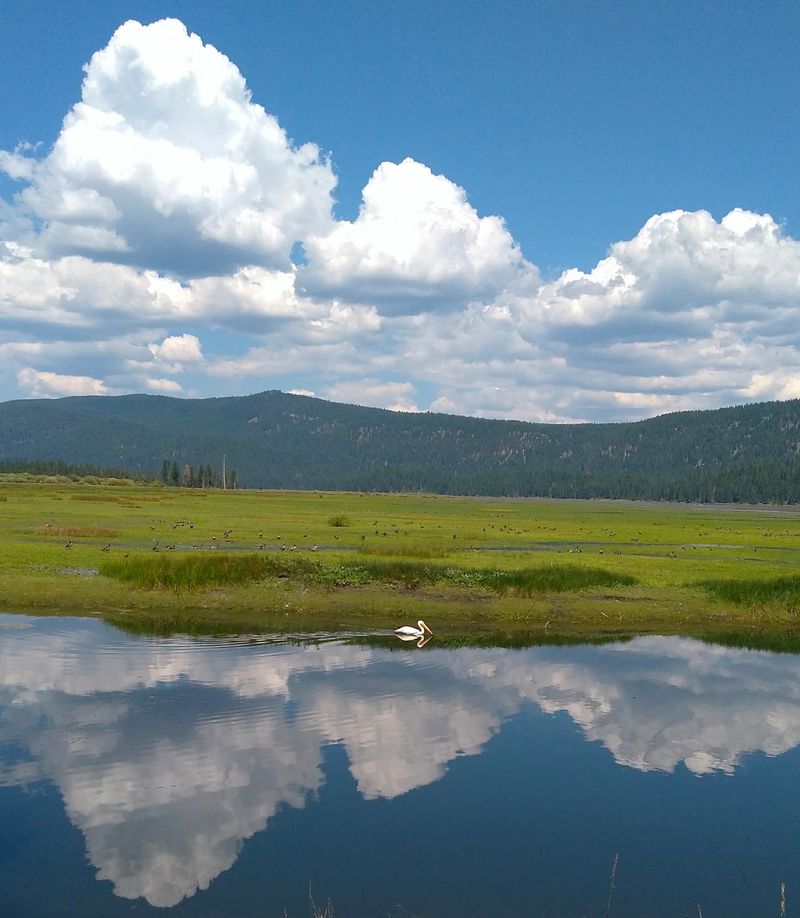 Plan A Getaway That Feels Like Your Own Secret