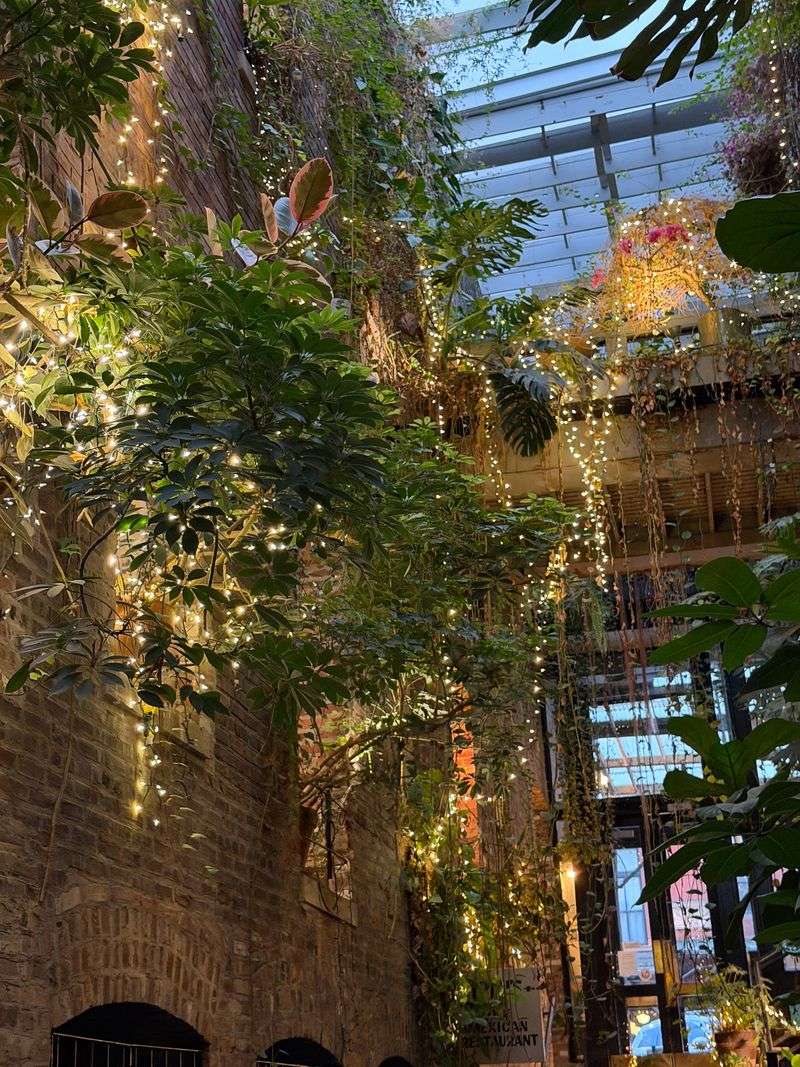 The Passageway Where Greenery Takes Over