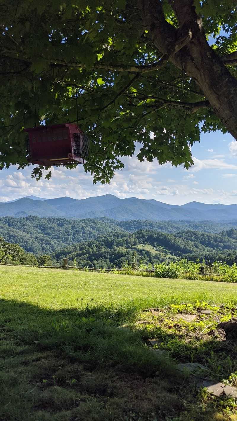 North Carolina Has A Hidden Mountain Town That Locals Try To Keep To Themselves Every Fall - Decor Hint Small-Town Scale Makes Fall Feel Slower Than In Bigger Mountain Destinations