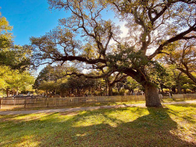 This 234-Year-Old North Carolina Cemetery Has A Ghostly Secret That Locals Still Talk About - Decor Hint Those Big Oaks Make It Look Like A Movie Set