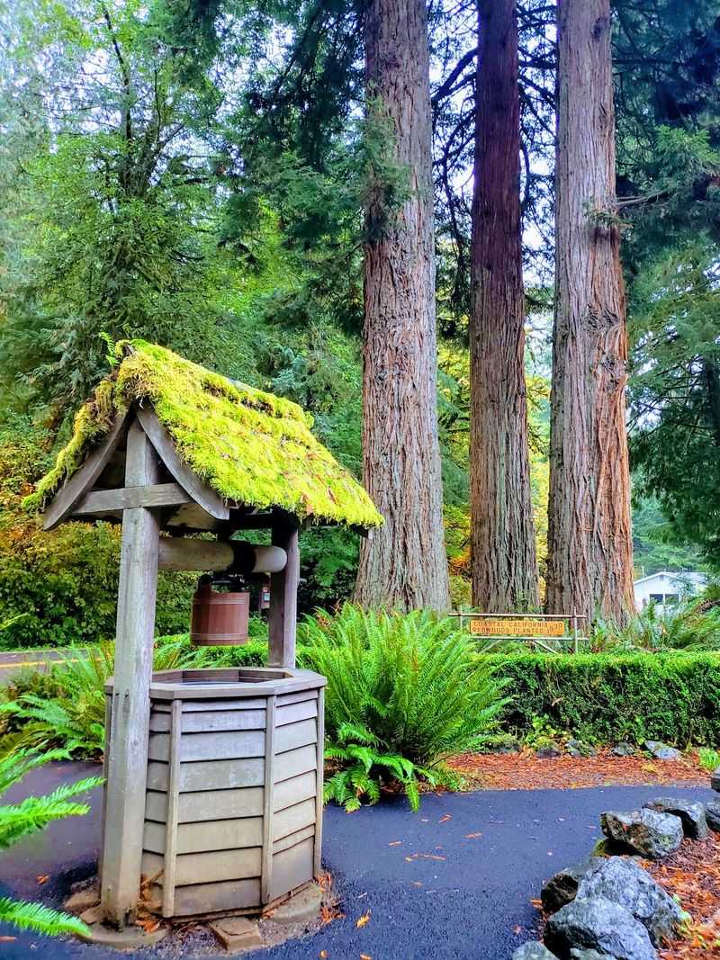 Tiny Doors Are Waiting On The Gnome Trail