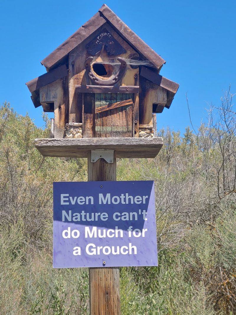 Birdhouses That Come With Their Own Advice