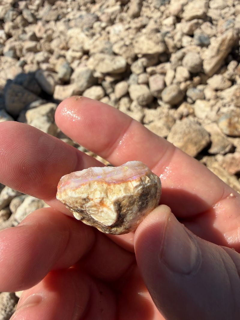 A Family-Run Opal Stop Near The Montana Line
