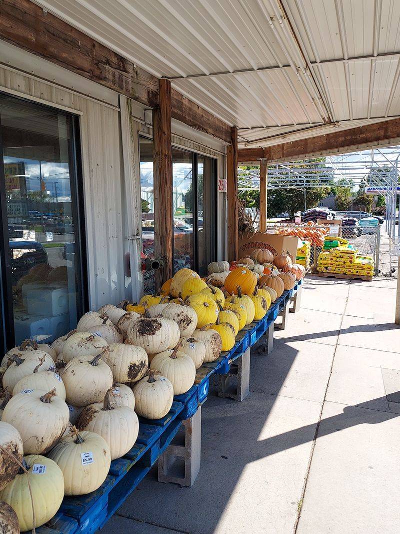 Ken's Farm Market, Ionia