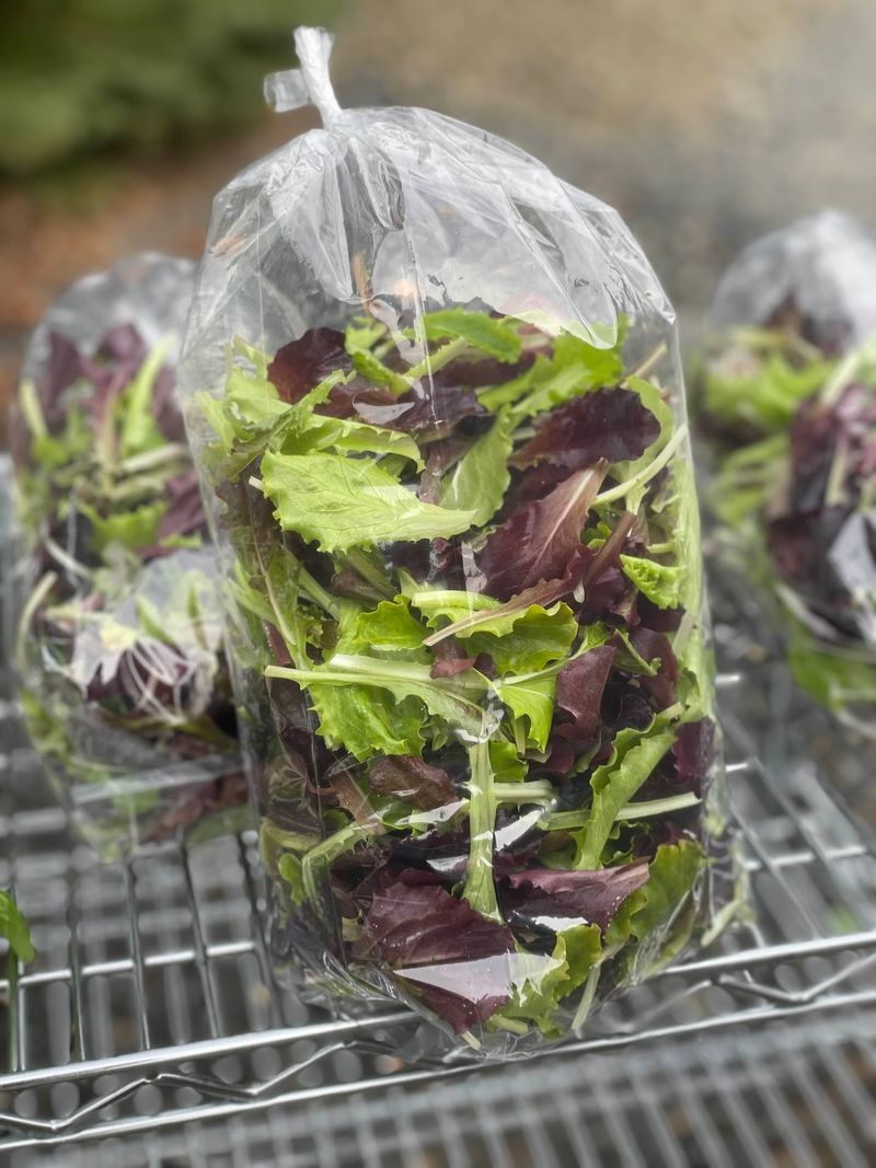 Joining The CSA Turns You Into Part Of The Farm