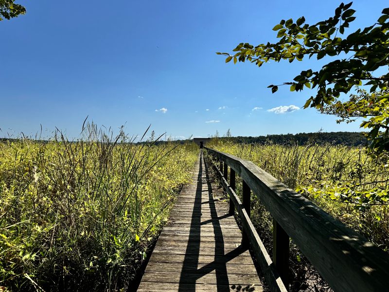 Nothing Beats A Hike Through This Peaceful 1,700-Acre Maryland Sanctuary - Decor Hint Boardwalks Put You Right Over The Marsh