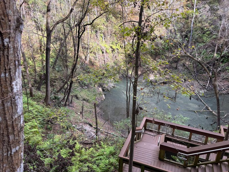 A Giant Bowl on the Edge of Gainesville