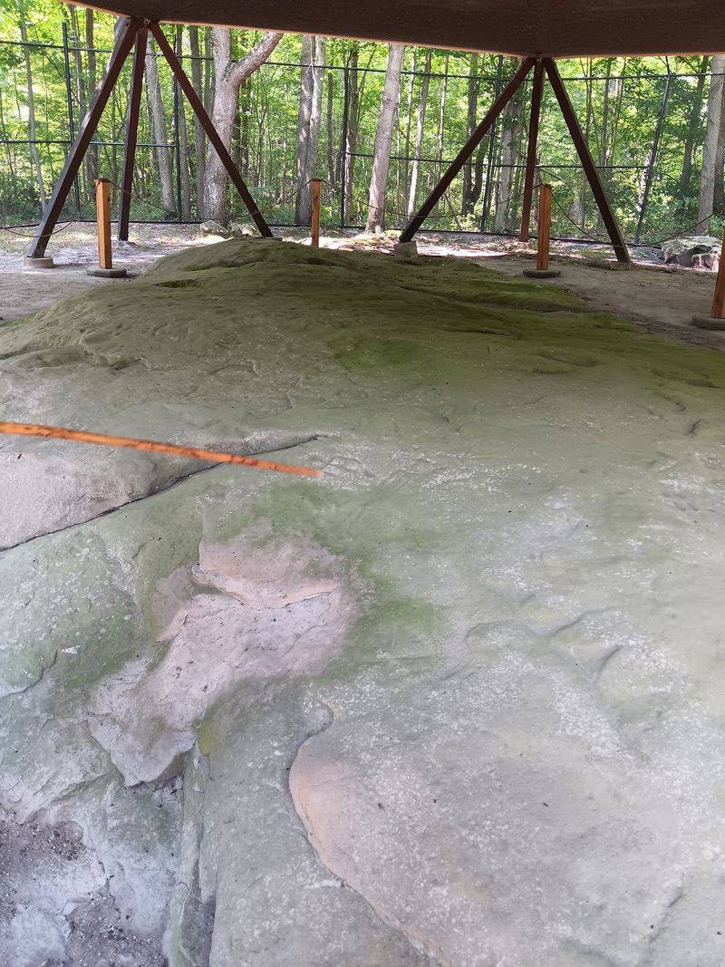 Sanilac Petroglyphs Historic State Park, Cass City