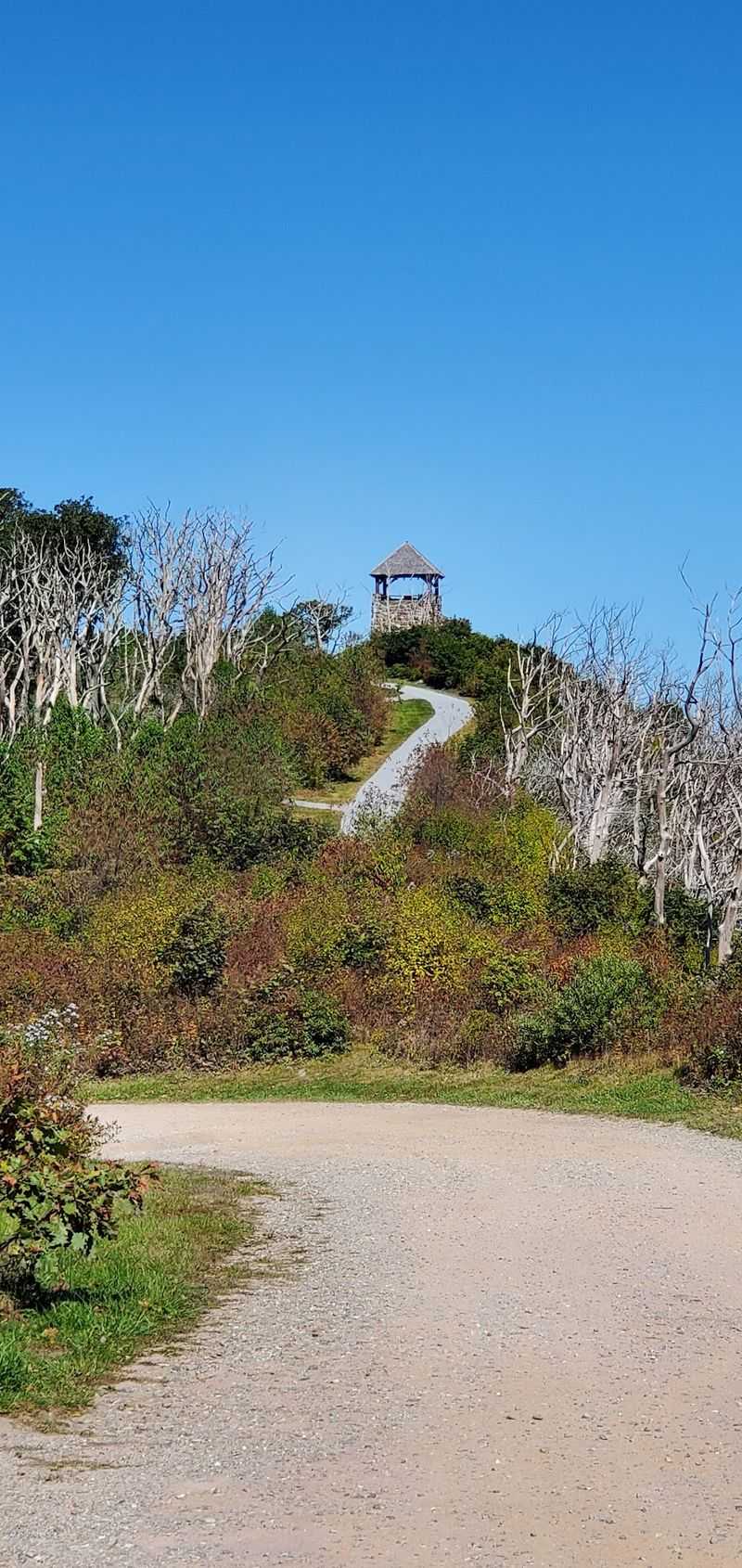 The Drive Up Is Half The Adventure