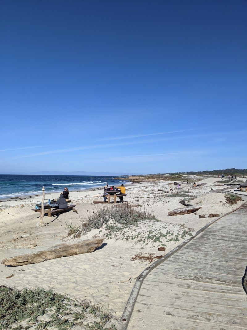 This Historic 17-Mile California Scenic Drive Still Offers Some Of The Most Breathtaking Coastal Views - Decor Hint Pack A Picnic Because Spanish Bay Practically Begs For One