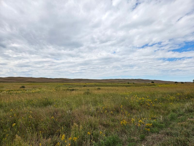 Before You Drive Out Know That Nebraska's Sandhills Hold A Lake Where Bison Wade At Dusk - Decor Hint Worth The Miles For Anyone Who Likes Big, Quiet Country
